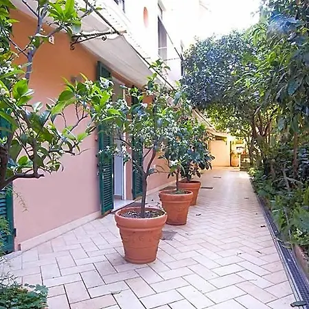 Conchiglia D'oro *